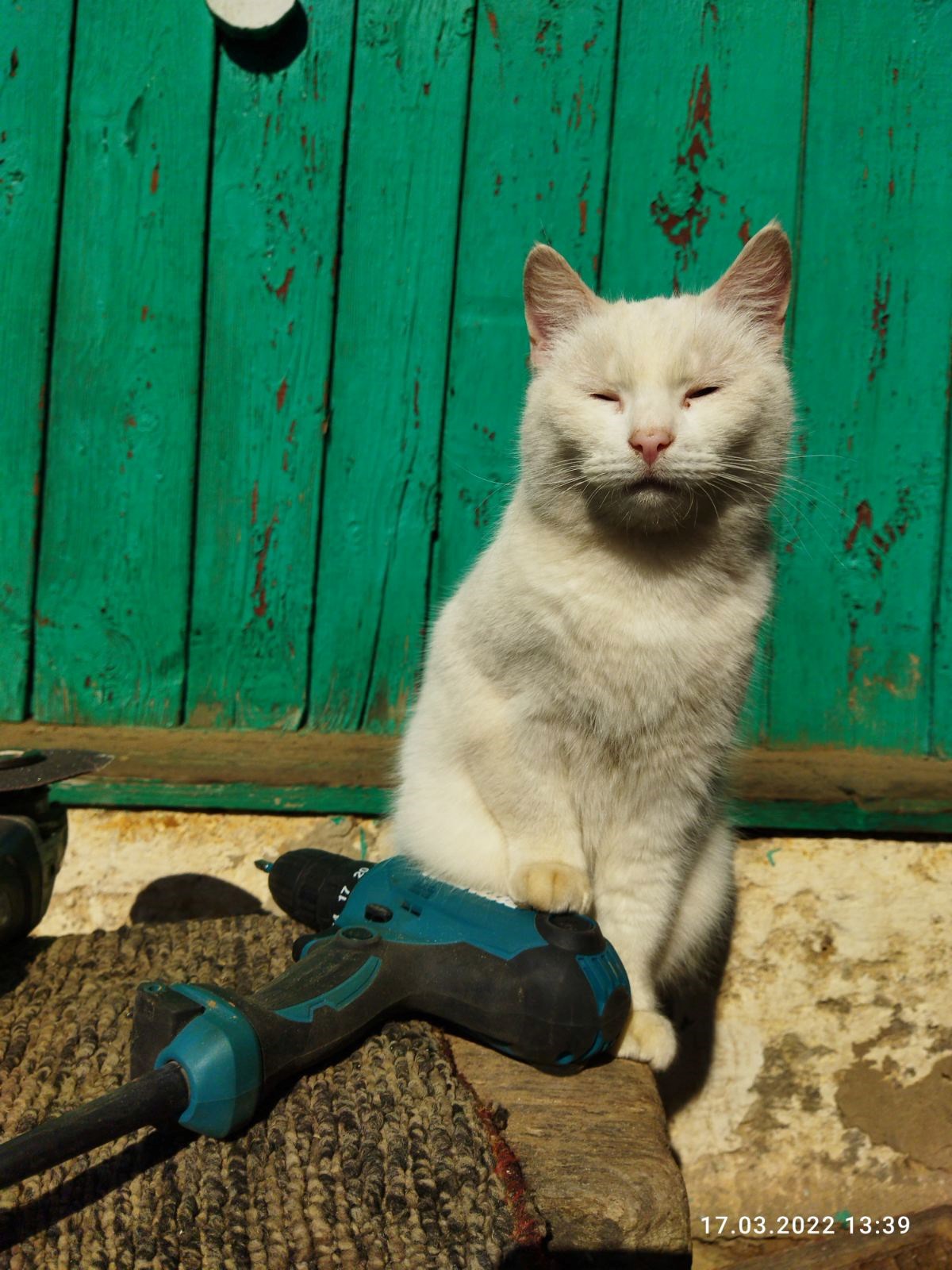 Перламутровая сказка часть 8