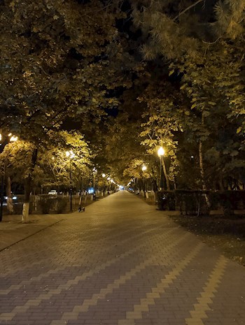 Метастазы разума..