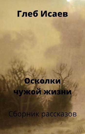 Осколки чужой жизни