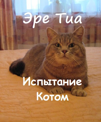 Испытание Котом