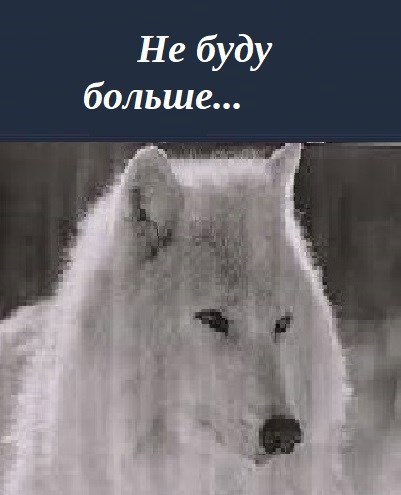 Не буду больше