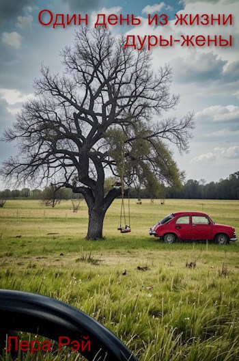 Один день из жизни дуры жены