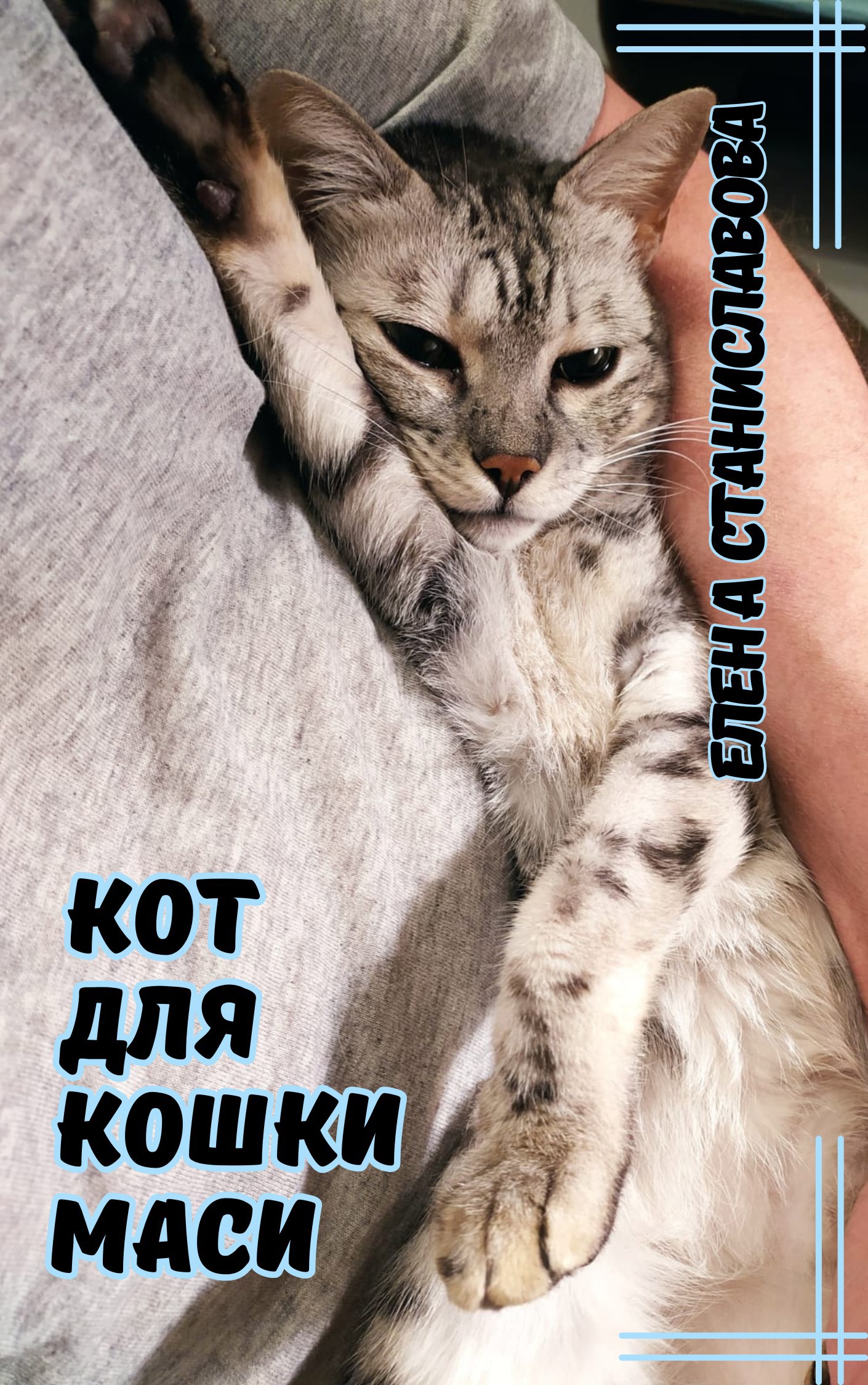 Кот для кошки Маси