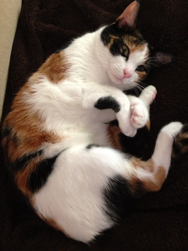 А давай с тобой играть