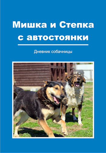 Мишка и Степка с автостоянки