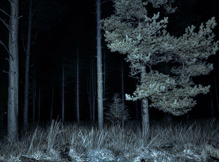 Выбор в Исидор Артуа