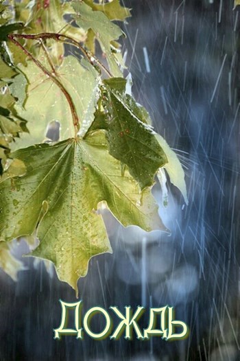 Дождь
