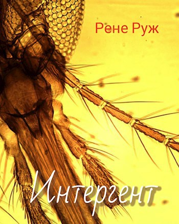 Интергент