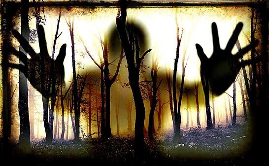 Абсолютно странная, и не совсем правдивая история.
