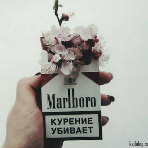 Не курение убивает.