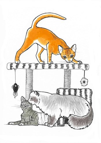 Головокружение сердца