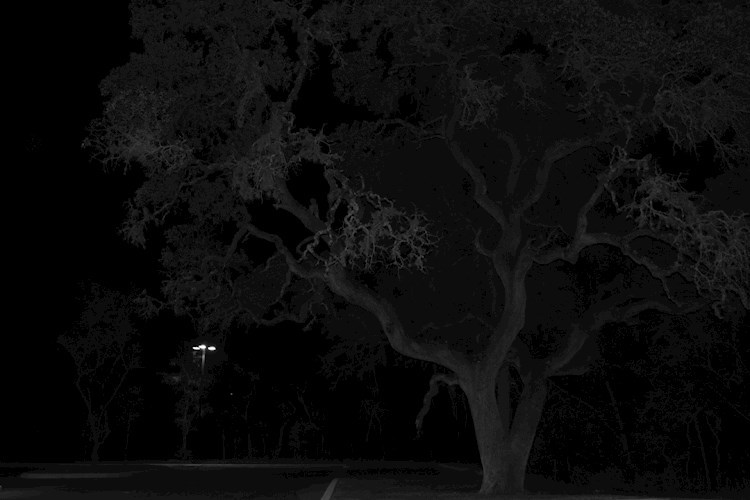 Они рядом...