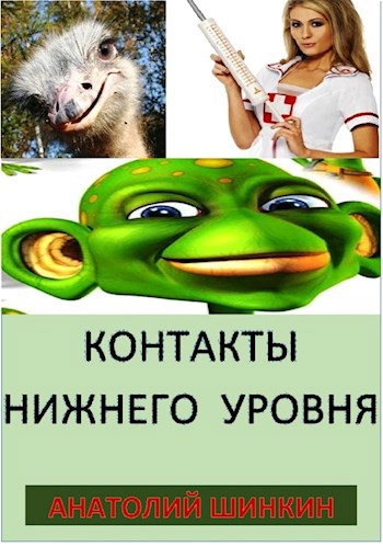 Контакты нижнего уровня