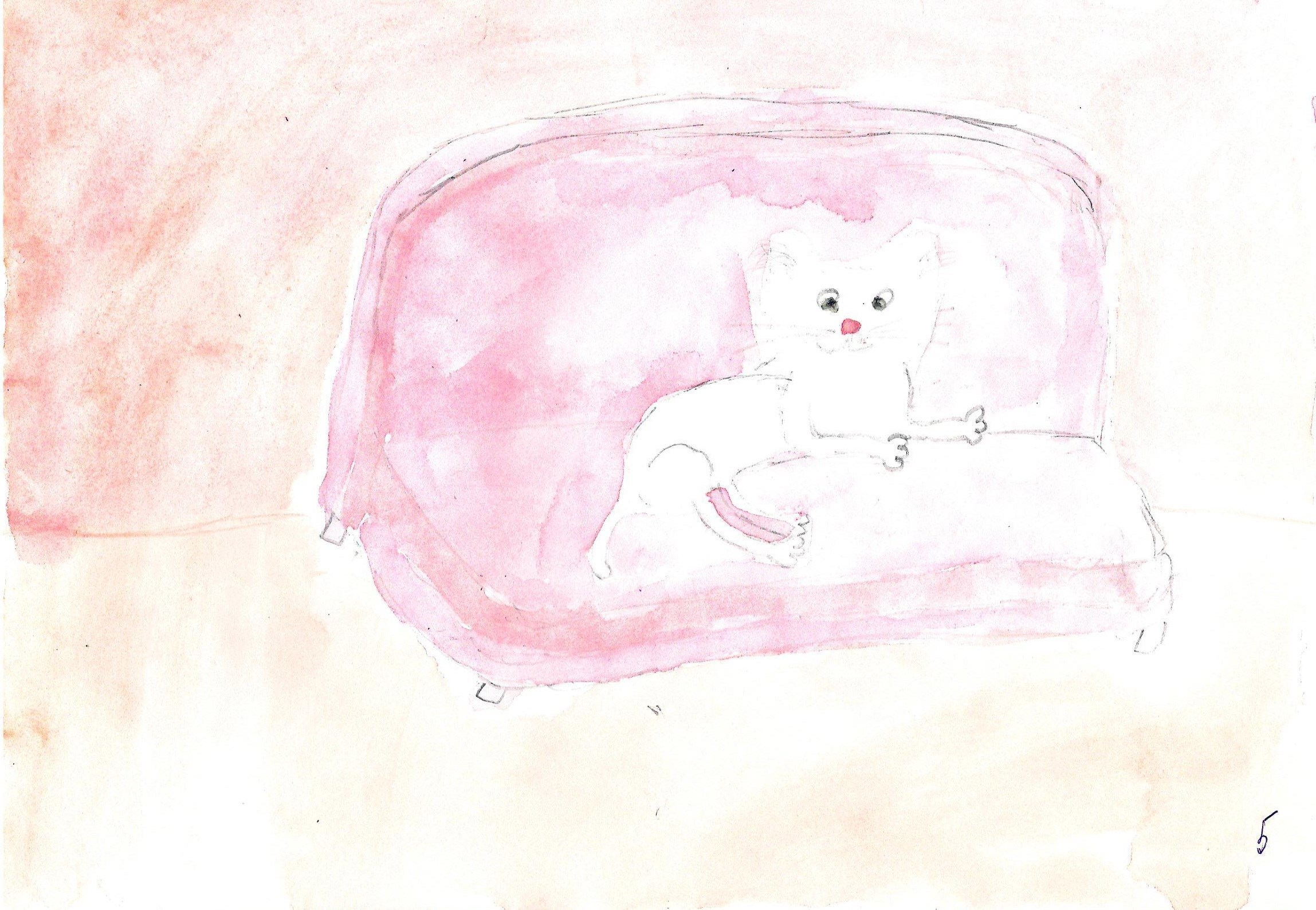 Акварель Маринетт Мортем &quot;Котя&quot;