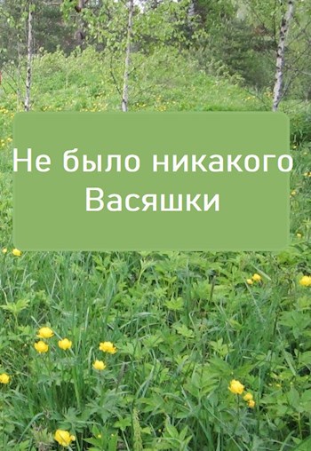 Не было никакого Васяшки