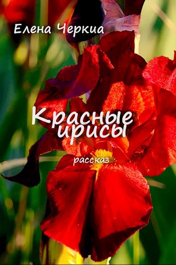 Красные ирисы