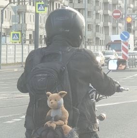Котёнка с собой захватите?