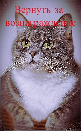 Вернуть за вознаграждение
