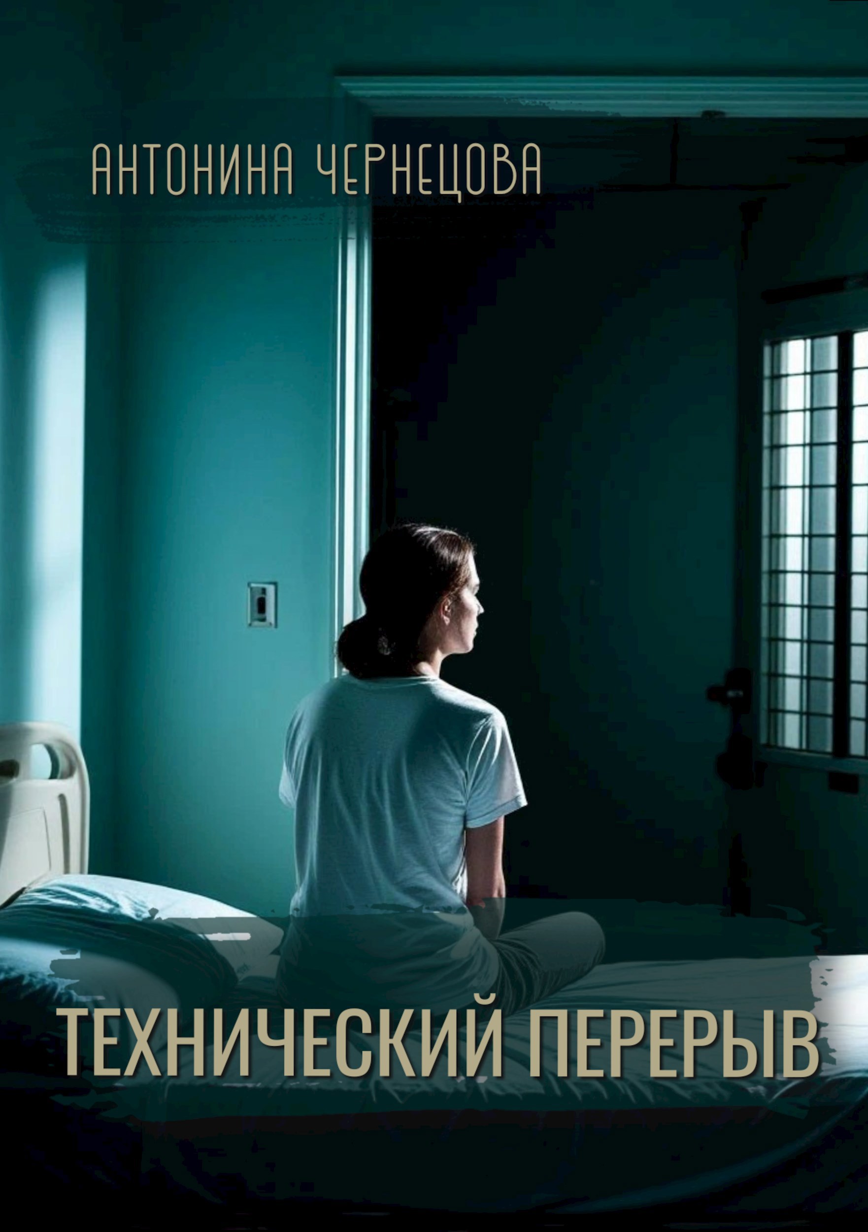 Технический перерыв