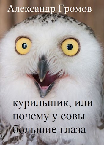 Курильщик, или Почему у совы большие глаза