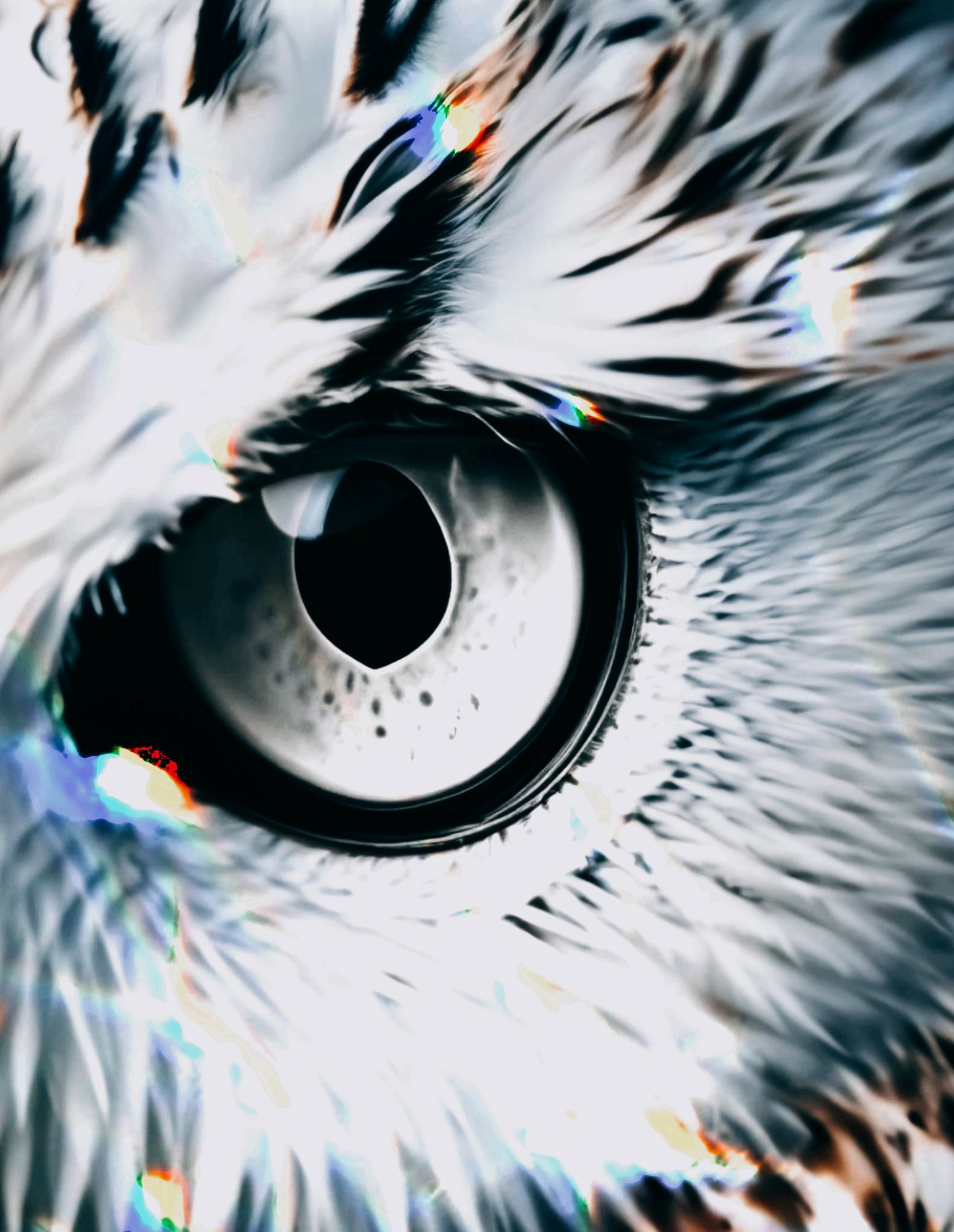 Поступь преисподней