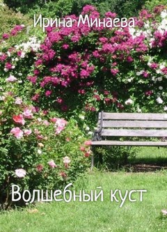 Волшебный куст