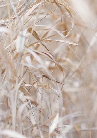 Стихи разное