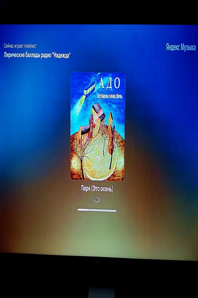 Пари в осеннем парке