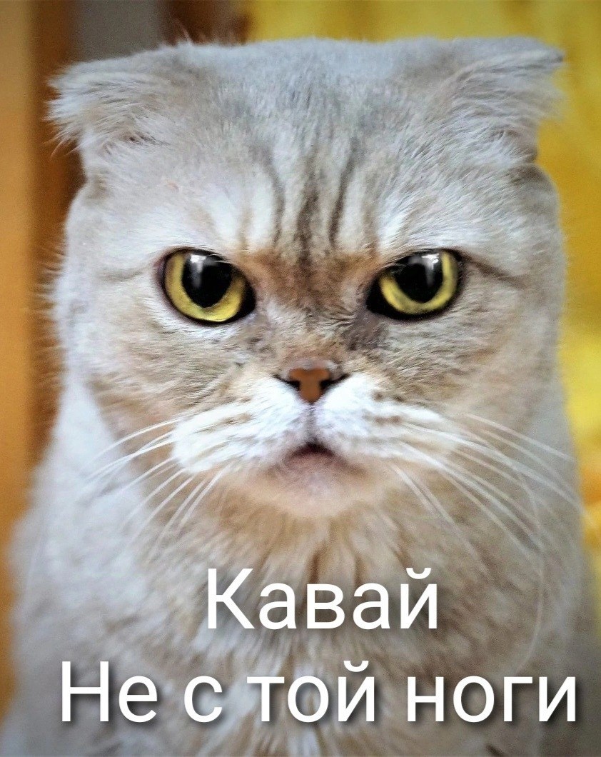 Не с той ноги