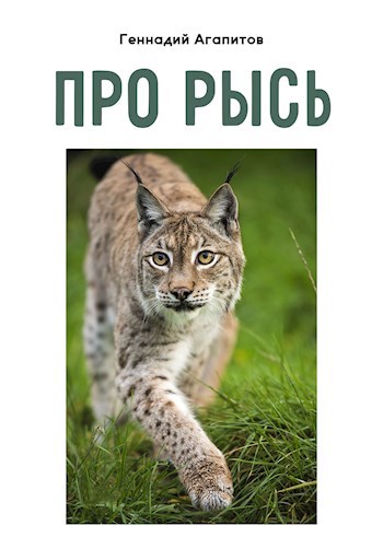 Про рысь