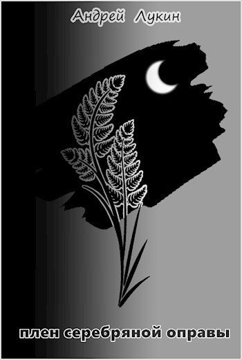 Плен серебряной оправы