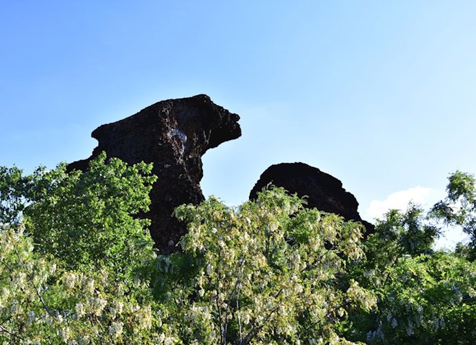 Байки Гвардейки