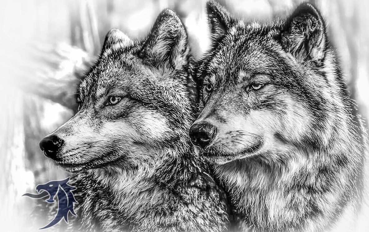 Бывшей жене