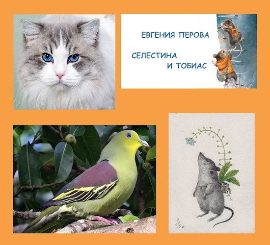 Селестина и Тобиас