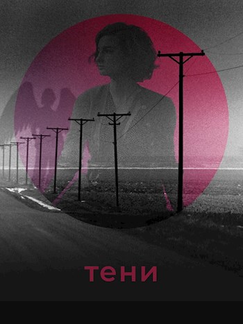 Тени