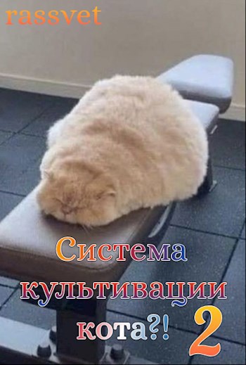 Система культивации кота 2