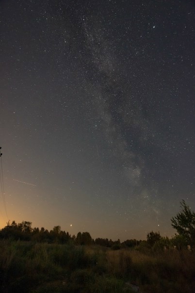 Шорохи ночи