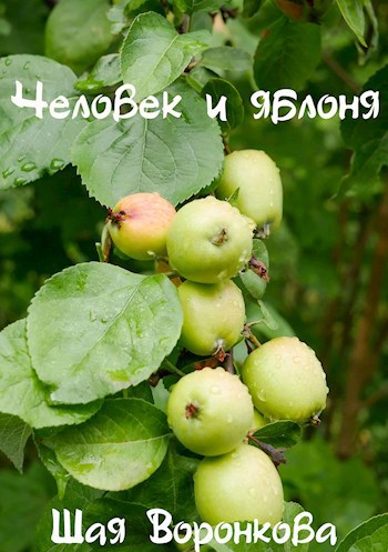 Человек и яблоня