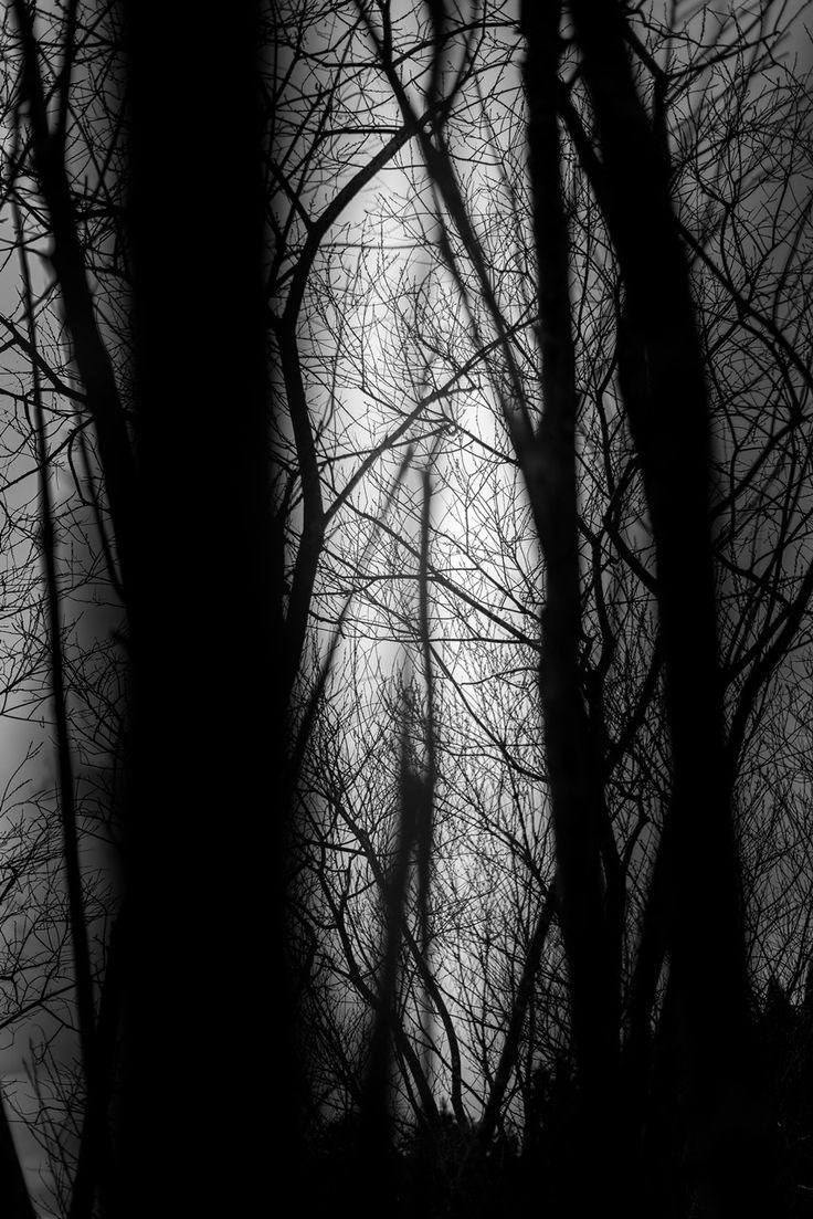 Мрак стылого ноября