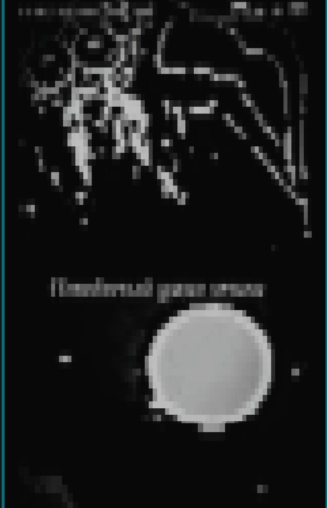Неизвестная рукопись 1 От моего друга Стюарта Ли.