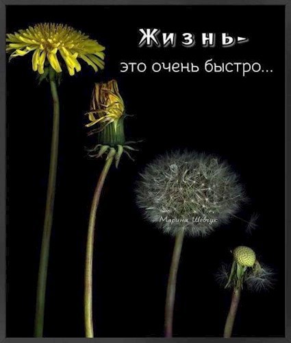 Распорядок дня
