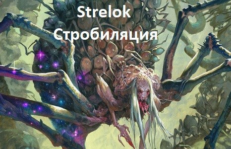 Стробиляция