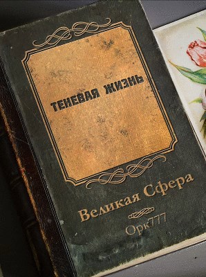 Великая Сфера Теневая жизнь Все главы