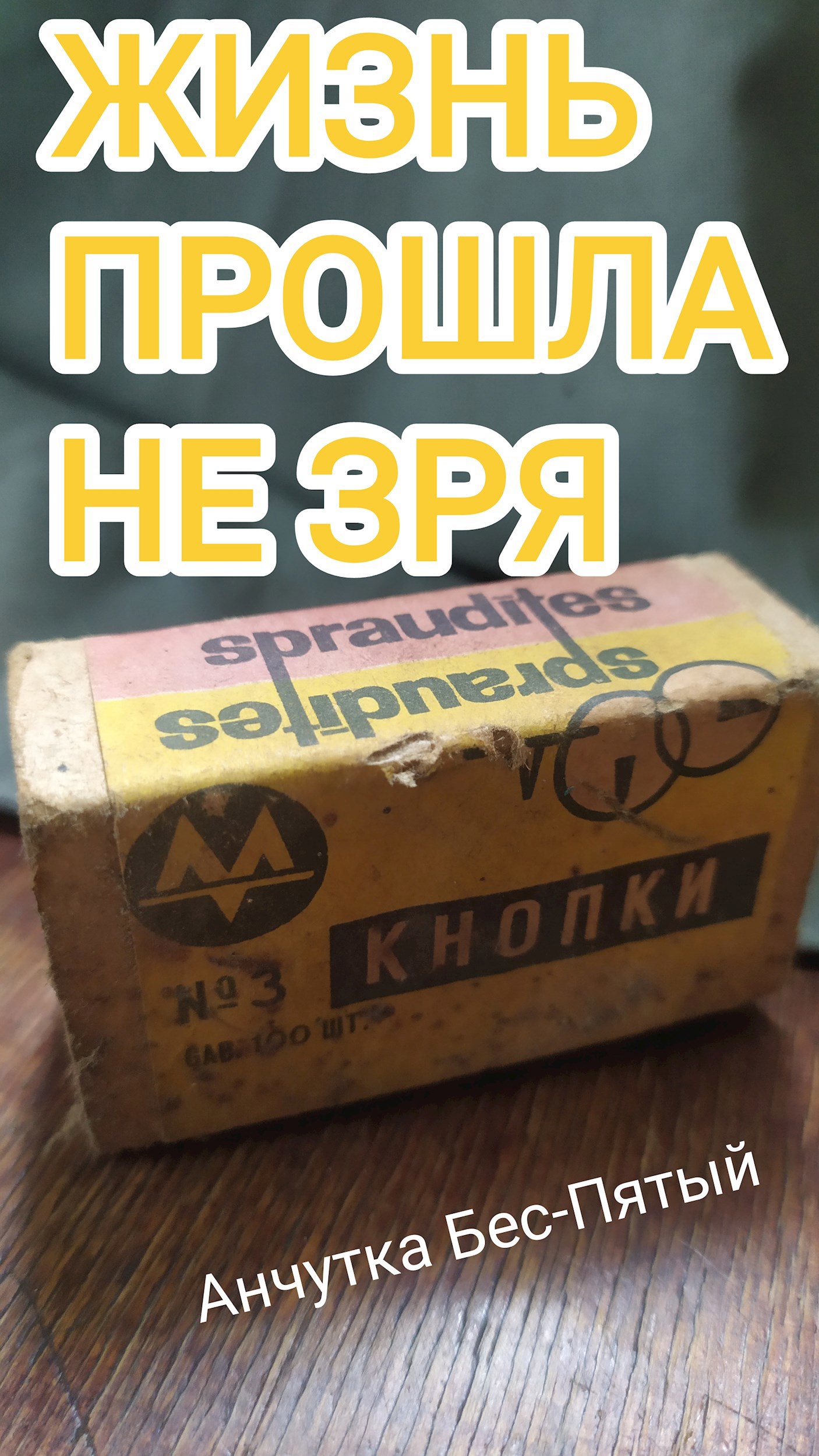 Жизнь прошла не зря