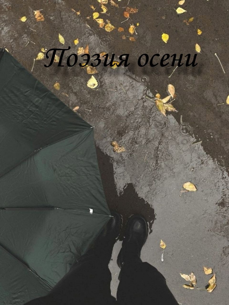 Поэзия осени