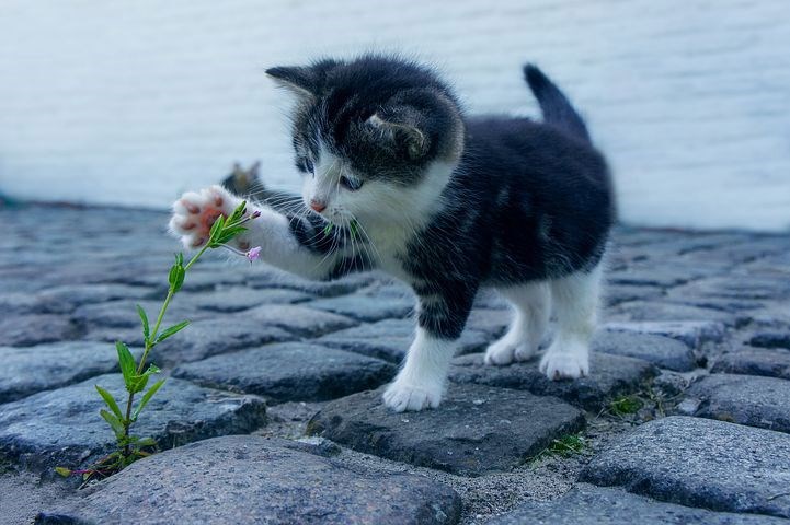 Шальные комментарии-2