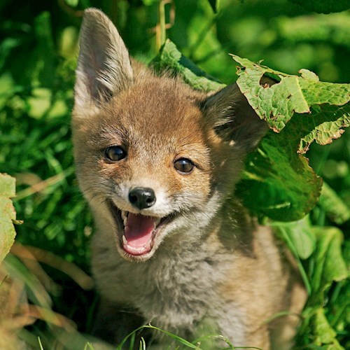 Просто один счастливый день! (соавторство, неопубликованное ранее).