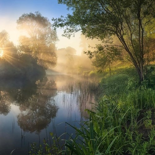 Динькино лето