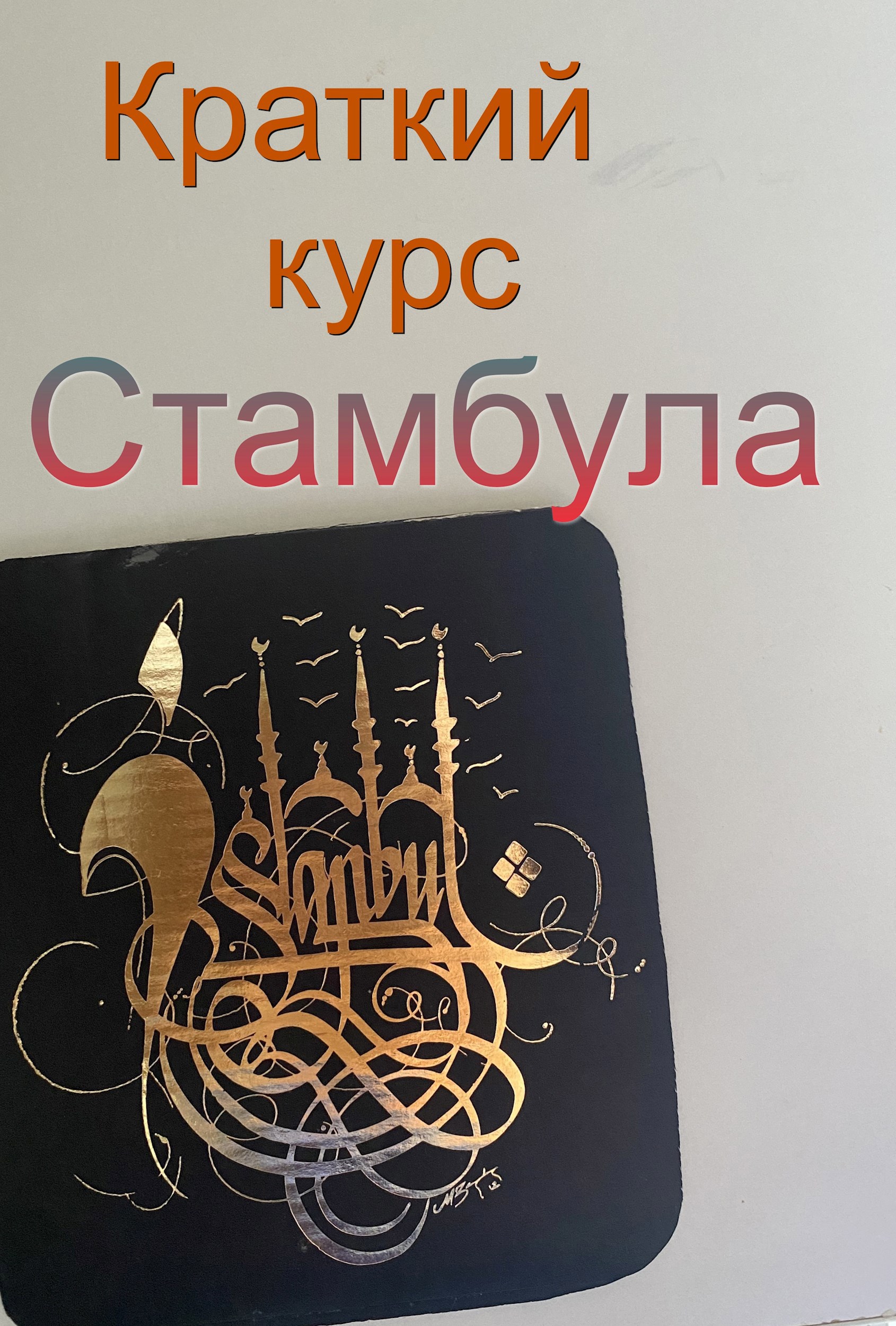 Краткий курс Стамбула