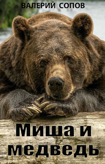 Миша и Медведь